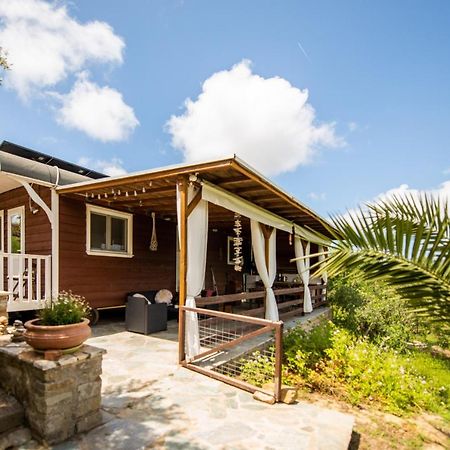 Hakuna Matata Holidays Wooden Lodge With Airco & Pool In Greek Olive Grove Methoni  Extérieur photo
