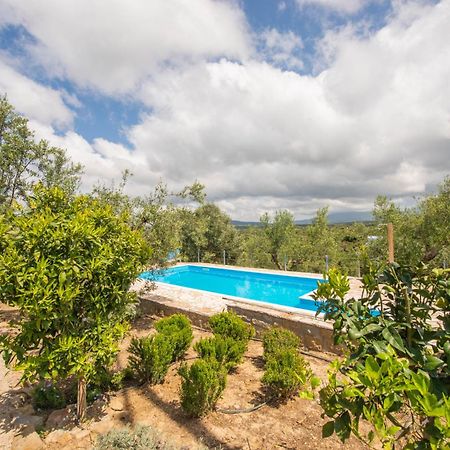 Hakuna Matata Holidays Wooden Lodge With Airco & Pool In Greek Olive Grove Methoni  Extérieur photo