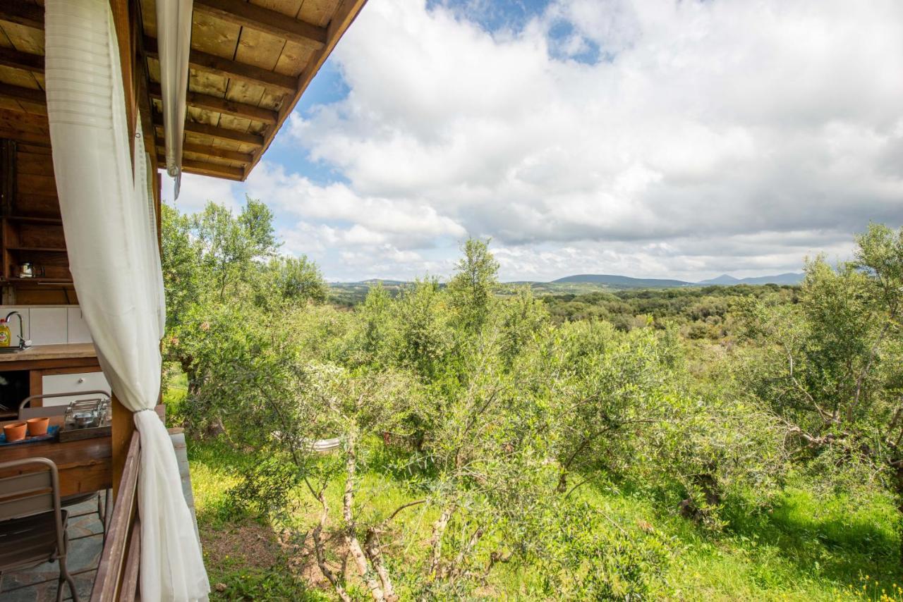 Hakuna Matata Holidays Wooden Lodge With Airco & Pool In Greek Olive Grove Methoni  Extérieur photo