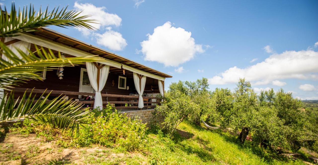 Hakuna Matata Holidays Wooden Lodge With Airco & Pool In Greek Olive Grove Methoni  Extérieur photo