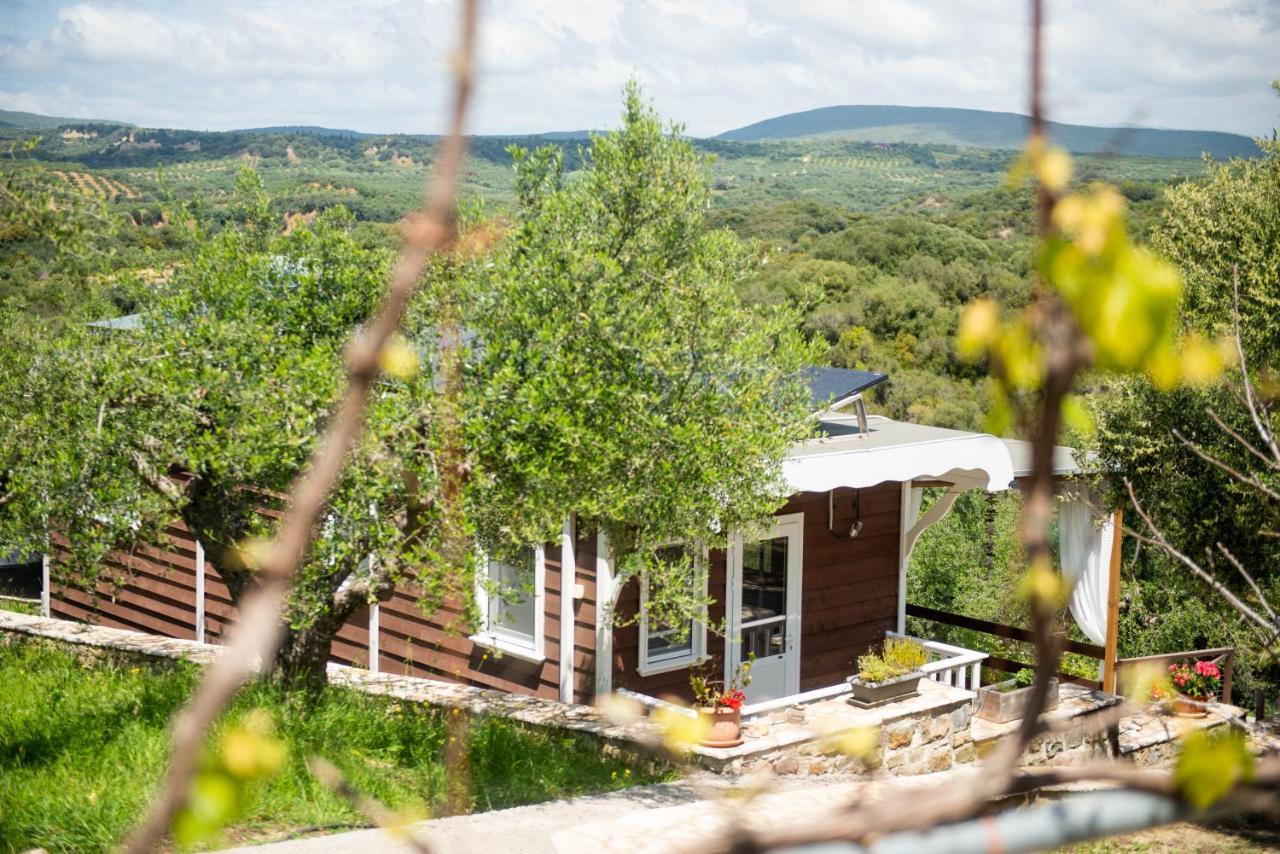 Hakuna Matata Holidays Wooden Lodge With Airco & Pool In Greek Olive Grove Methoni  Extérieur photo