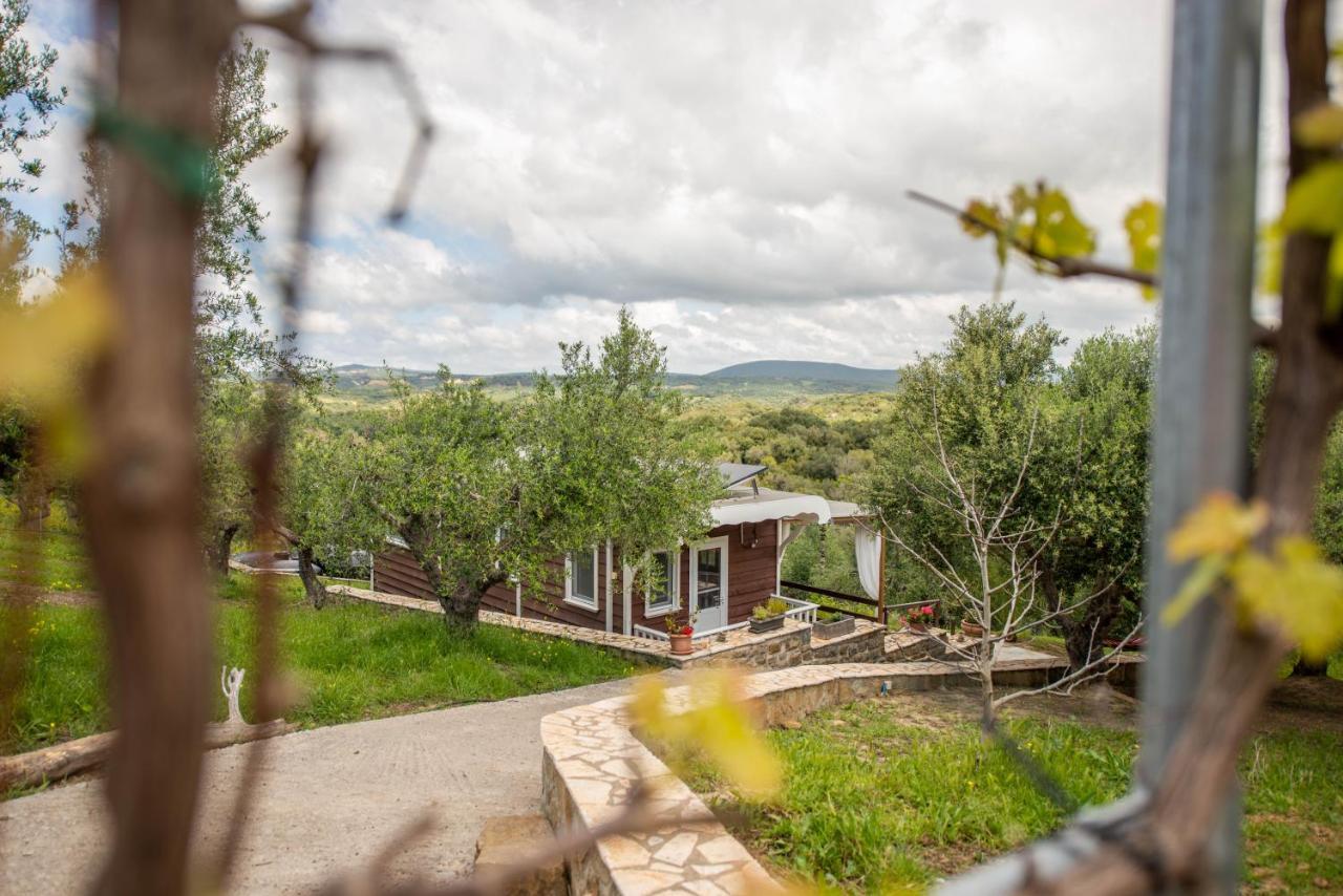 Hakuna Matata Holidays Wooden Lodge With Airco & Pool In Greek Olive Grove Methoni  Extérieur photo