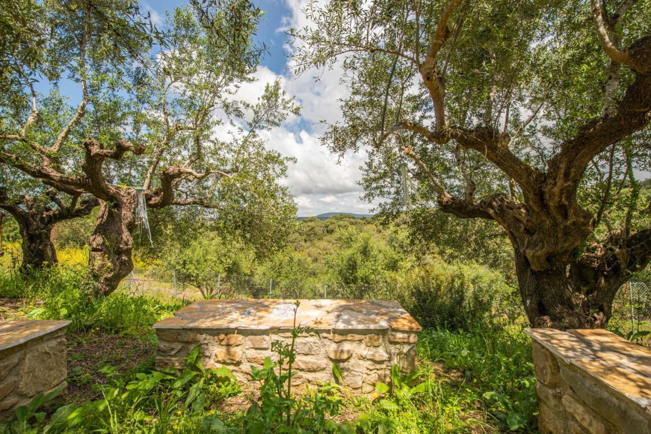 Hakuna Matata Holidays Wooden Lodge With Airco & Pool In Greek Olive Grove Methoni  Extérieur photo