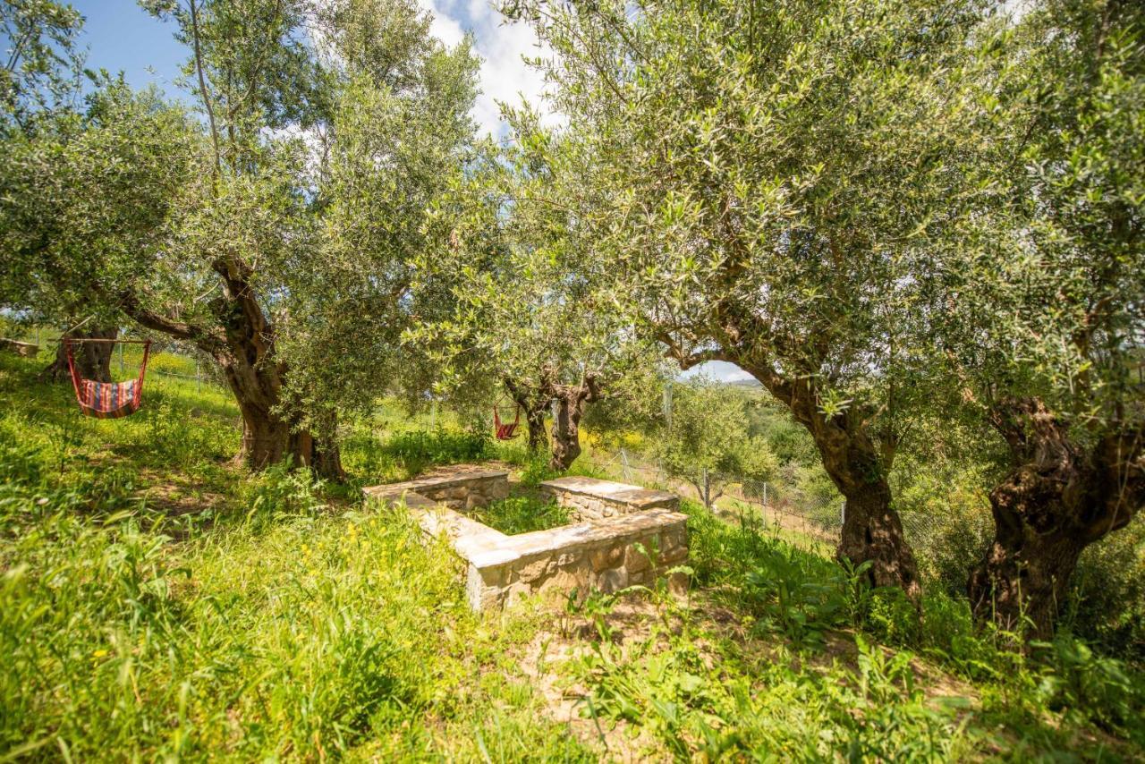 Hakuna Matata Holidays Wooden Lodge With Airco & Pool In Greek Olive Grove Methoni  Extérieur photo