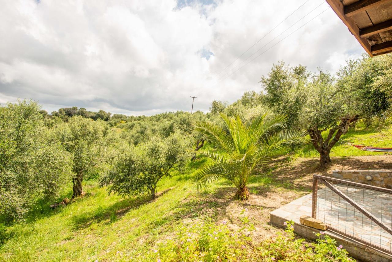 Hakuna Matata Holidays Wooden Lodge With Airco & Pool In Greek Olive Grove Methoni  Extérieur photo