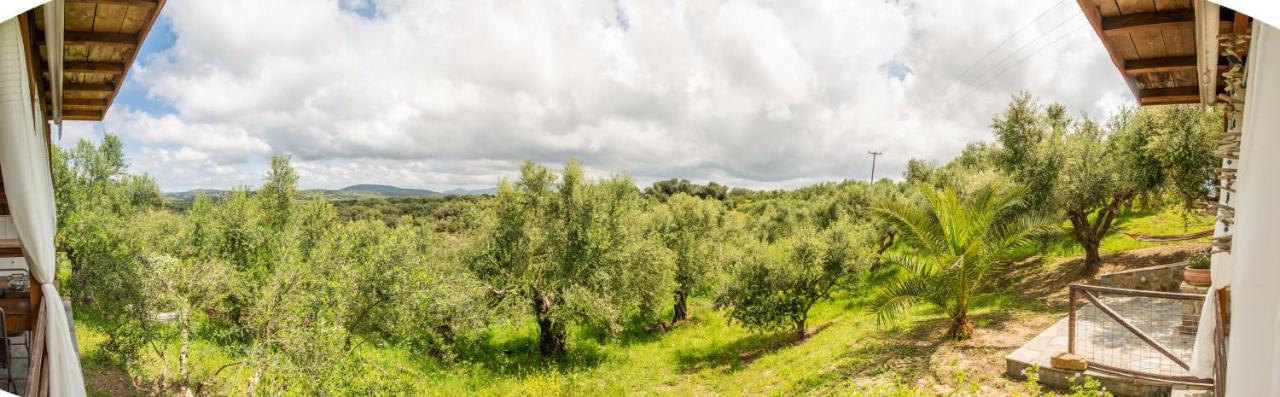 Hakuna Matata Holidays Wooden Lodge With Airco & Pool In Greek Olive Grove Methoni  Extérieur photo