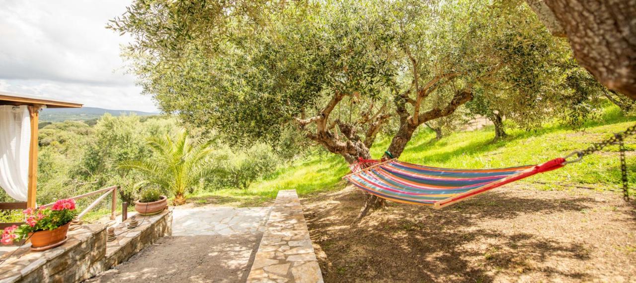 Hakuna Matata Holidays Wooden Lodge With Airco & Pool In Greek Olive Grove Methoni  Extérieur photo