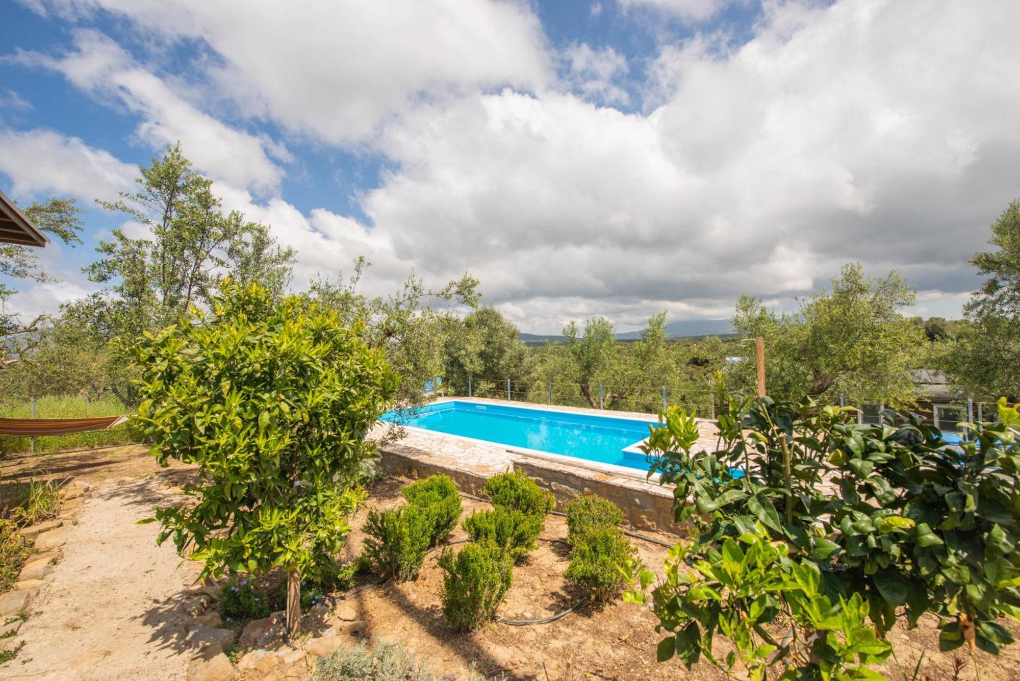 Hakuna Matata Holidays Wooden Lodge With Airco & Pool In Greek Olive Grove Methoni  Extérieur photo