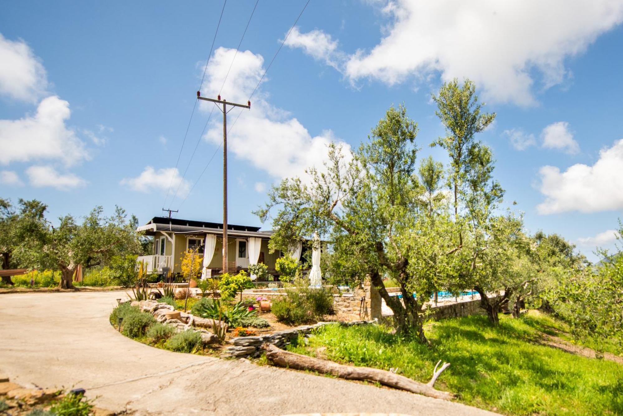 Hakuna Matata Holidays Wooden Lodge With Airco & Pool In Greek Olive Grove Methoni  Extérieur photo